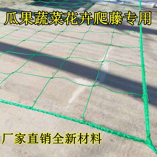 植物爬藤网新型百香果加粗爬藤网瓜网丝瓜苦瓜豆角网攀爬网搭架网
