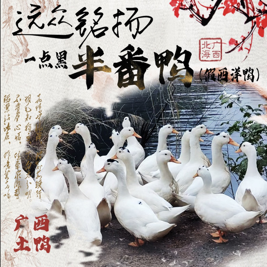 【当日现杀 顺丰空运】广西散养半番鸭正宗土鸭整鸭生鲜鸭肉