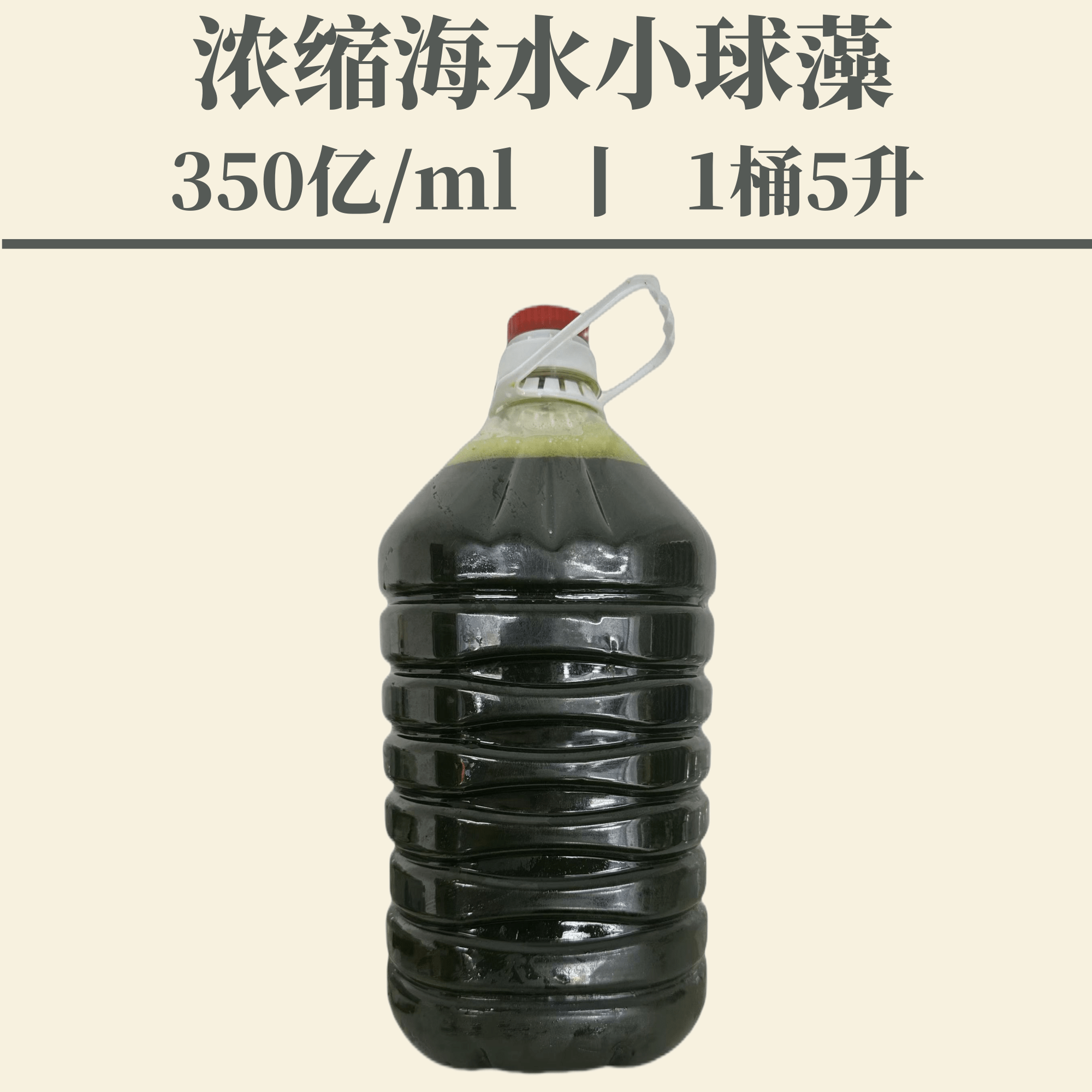 浓缩海水小球藻  冷链运输  轮虫饵料 鱼虾蟹贝类饵料 5升大包装