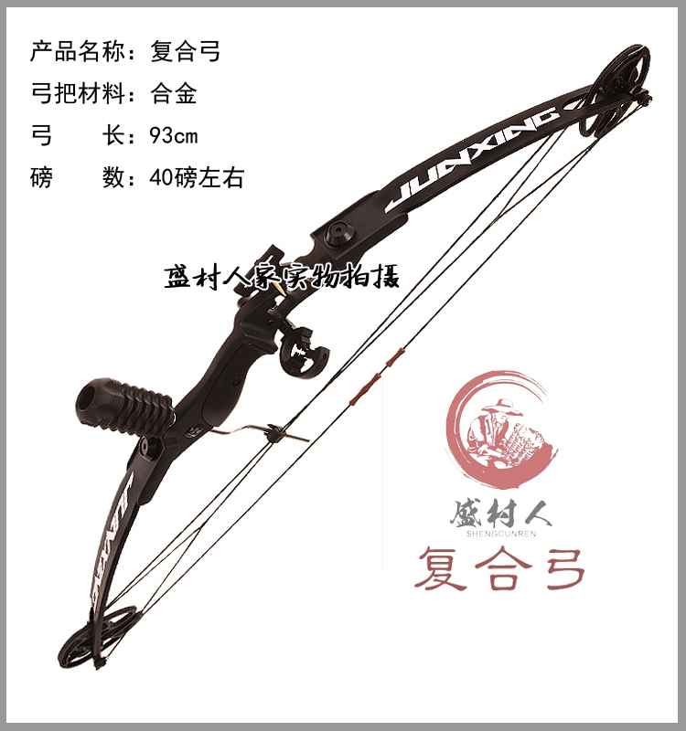 傳統(tǒng)弓復(fù)合弓競(jìng)技反曲射擊比賽景區(qū)箭館專業(yè)初學(xué)弓箭左右手版運(yùn)動(dòng)