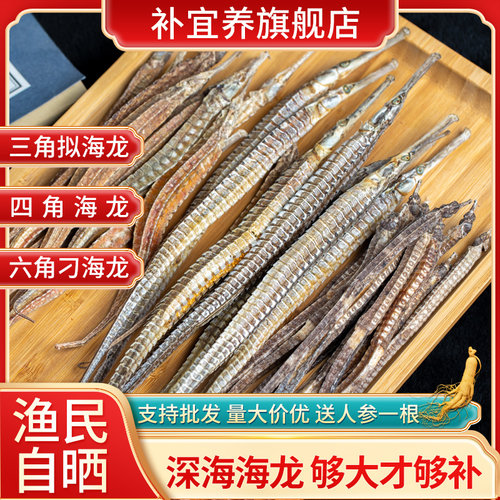 深海新鲜海龙干货渔民自晒