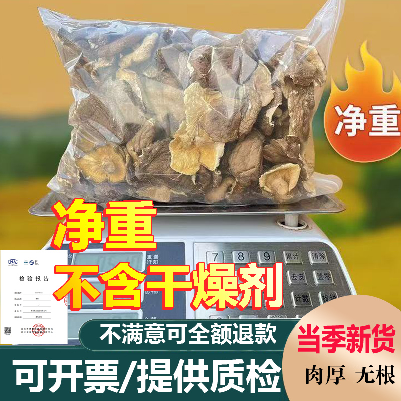 商用无根新货香菇大片大厚菇