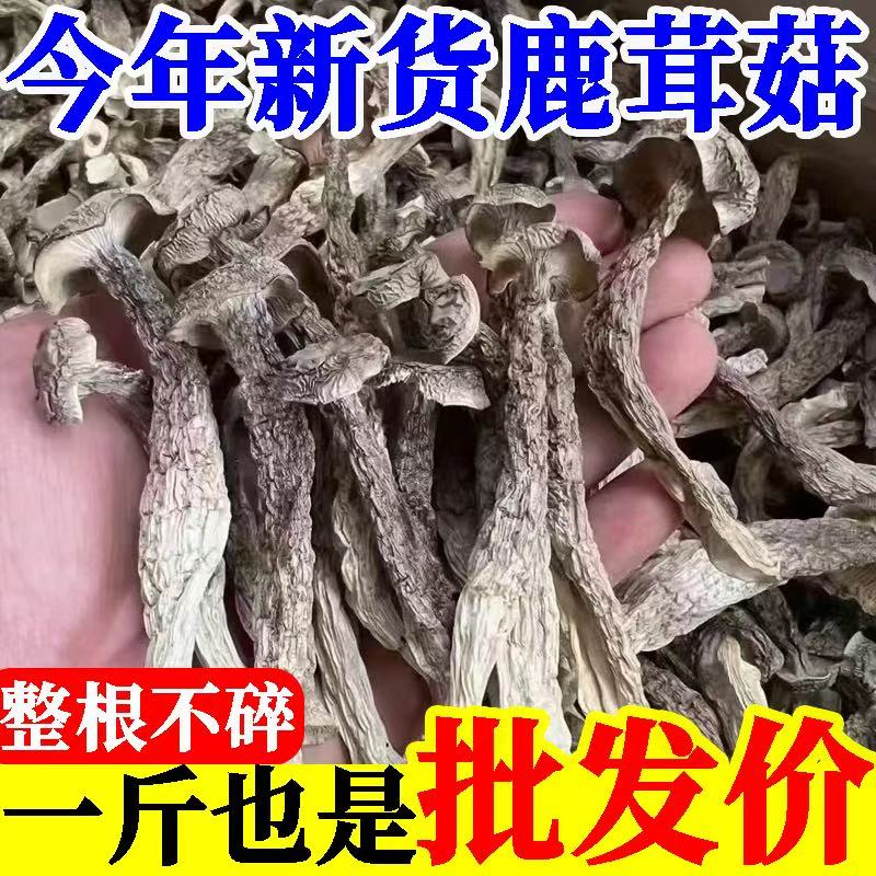新鲜鹿茸菇干货非特级鹿茸菌云南特产煲汤脆姑蘑菇香菇无碎渣净重