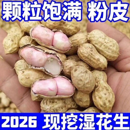 26年新鲜湿花生带壳花生