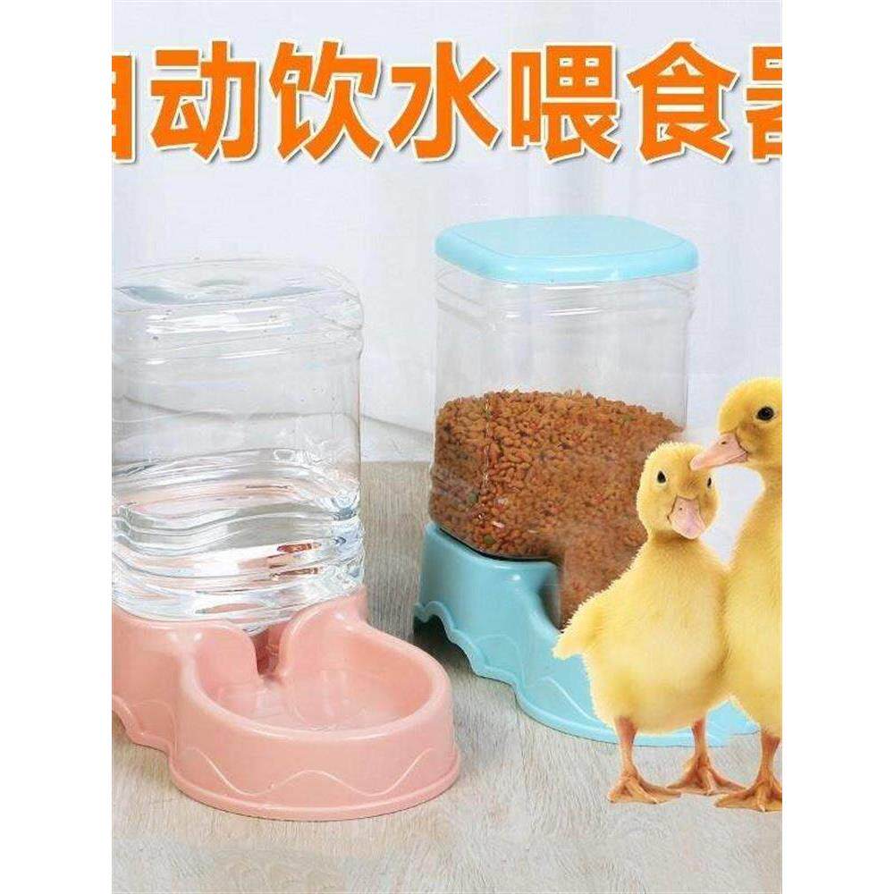 鸭子自动喂食器小鸭子鸡鹅吃饭碗盆宠物柯尔鸭食槽喂食喂水器