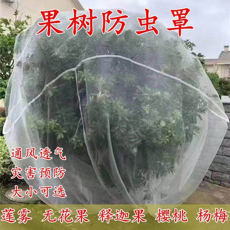 果树防虫网罩蓝莓杨梅莲雾大棚网桃树樱桃网罗曼蚊帐防果蝇针蜂