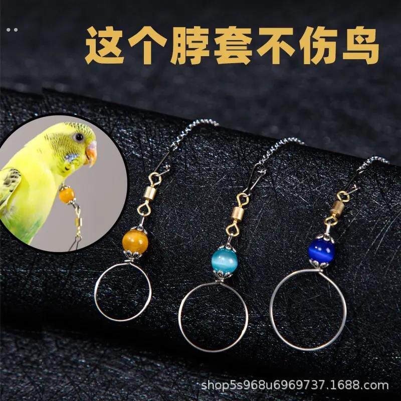 鹦鹉脖套不锈钢八哥脚链玄凤牡丹虎皮栓鸟链遛鸟放飞训练脖圈链子
