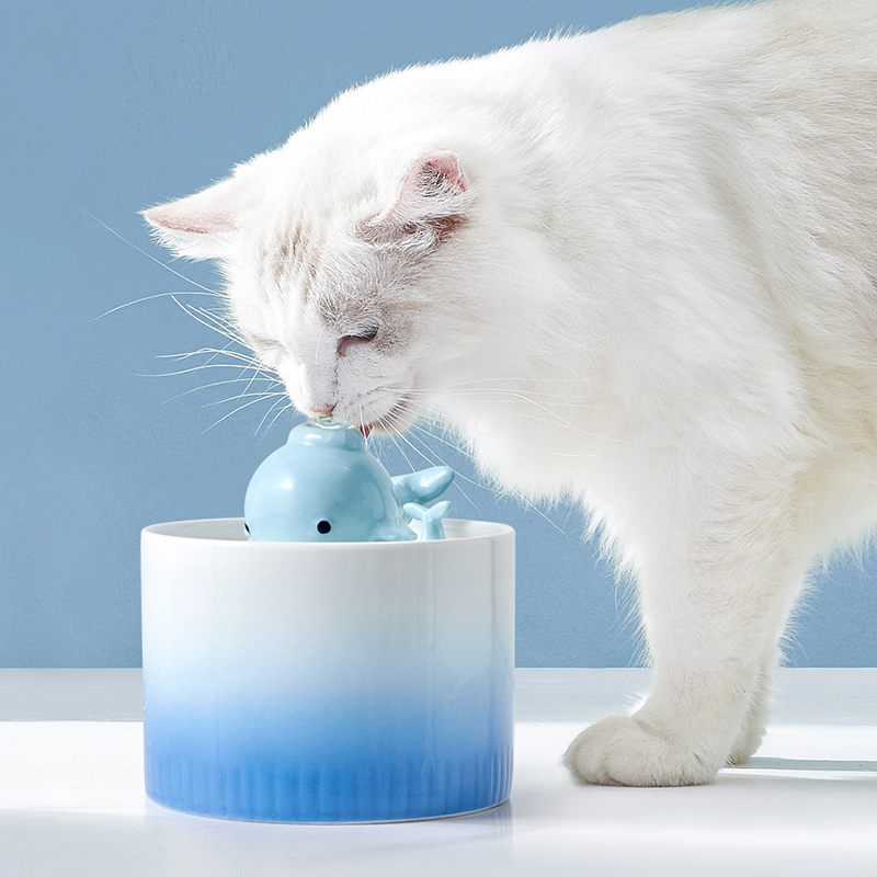 hocc宠物饮水器不积水