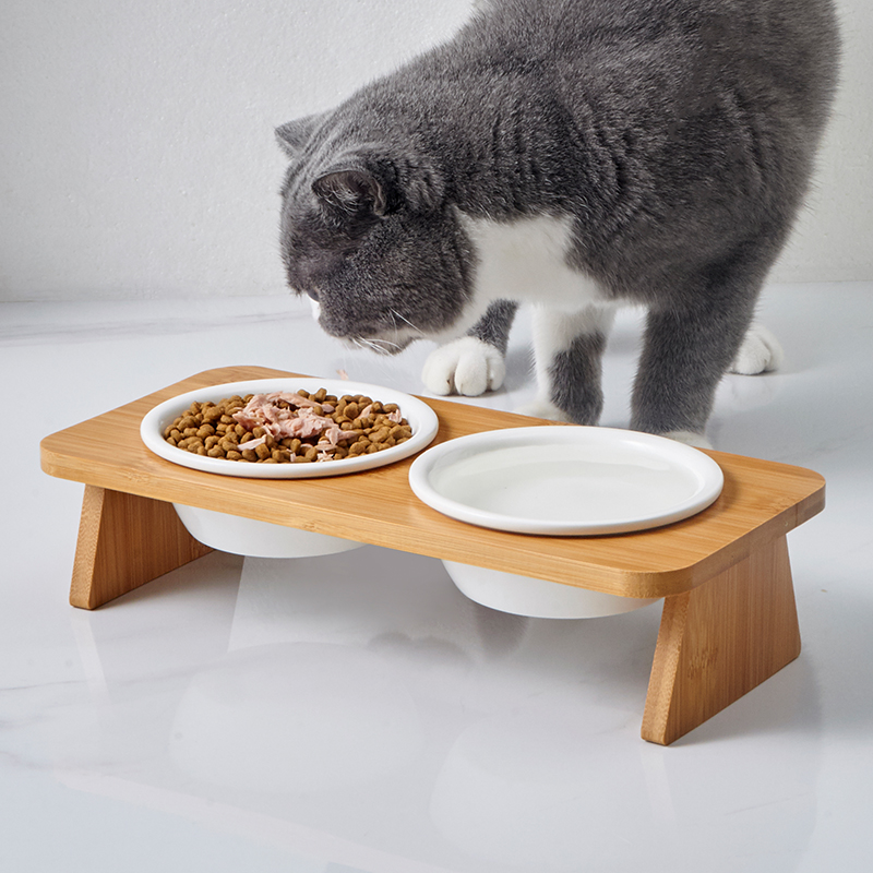 hocc竹木架碗矮脚猫幼猫