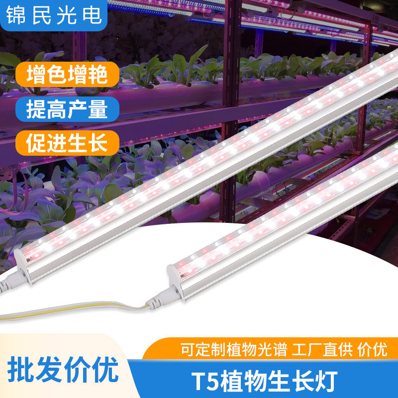 T5全光谱植物生长补光灯仿太阳光室内草莓水培叶菜蔬菜花卉绿植,家装灯饰光源,植物生长灯,淘宝优惠券,粉丝福利购,淘宝优惠卷