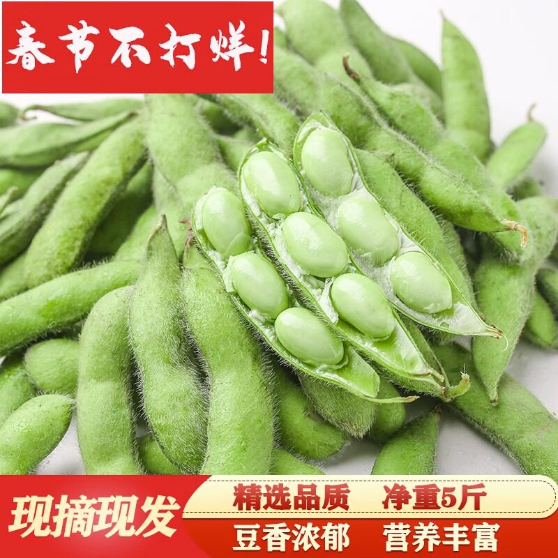 农家新鲜大豆嫩豆荚现摘卤水卤煮盐水毛豆青豆豆角带壳毛豆子豆粒