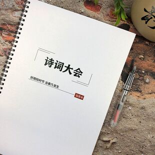 中国诗词大会董卿开场白语录台词鲸落体奶酪体初高中学生钢笔字帖