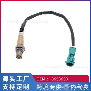 9F472 跨境热 3M51 适用进口沃尔沃C30 汽车氧传感器8653653