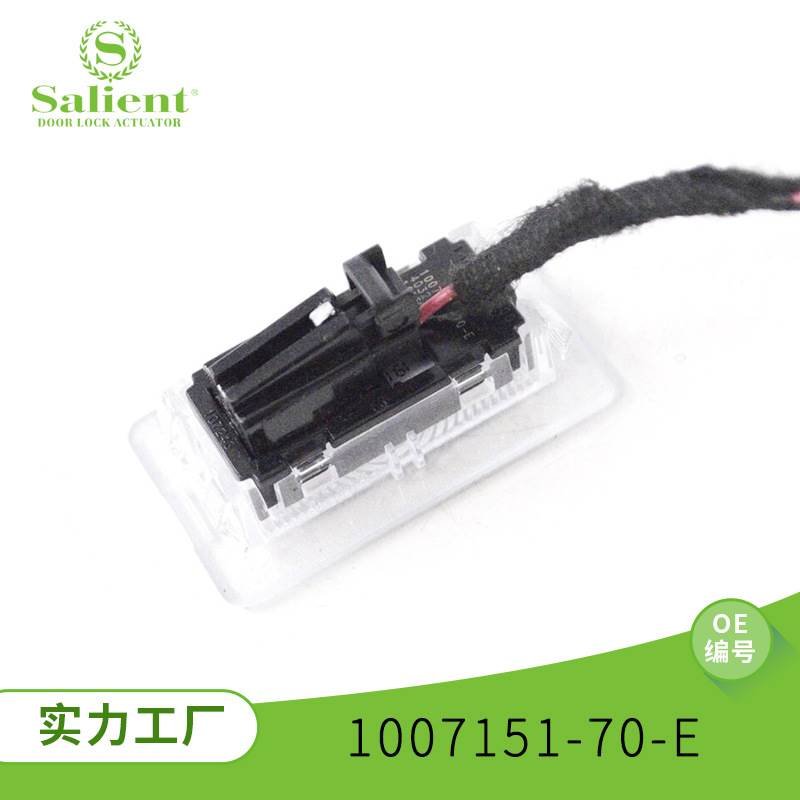 适用特斯拉Model Y 前脚内部 Courtesy Light 1007151-70-E