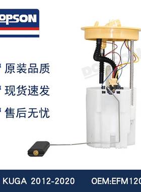 FV41-9H307-AA 0580203181 EFM1201722 FORD KUGA燃油泵总成