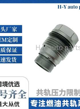 1110010027共轨压力限制阀1110010014 51103040292