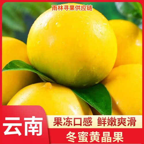 【顺丰包邮】云南西双版纳冬蜜黄晶果新鲜水果果冻口感鲜嫩爽滑