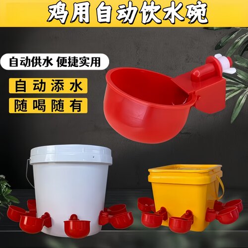家禽养殖小鸡鸭鹅自动饮水碗饮水器鸽用自动喝水饮水碗鹌鹑鸡食槽