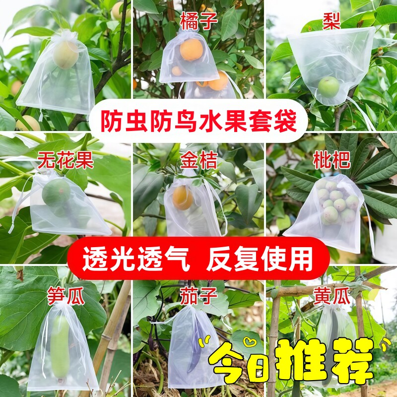 蓝莓套袋专用袋防虫防鸟透气袋水果蔬菜苦瓜番茄草莓桃子通用网袋