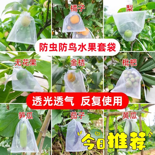 蓝莓套袋专用袋防虫防鸟透气袋水果蔬菜苦瓜番茄草莓桃子通用网袋