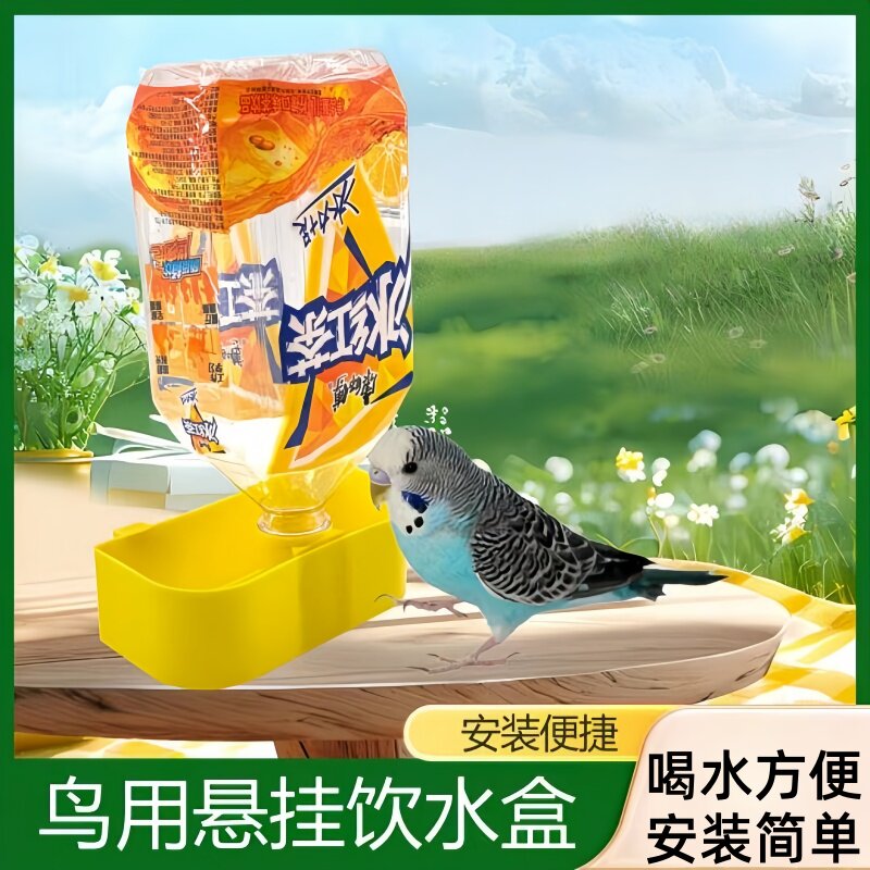 鸽子饮水器喂食器信鸽自动喂水器喂鸽子专用食槽喝水神器鸟饮水器