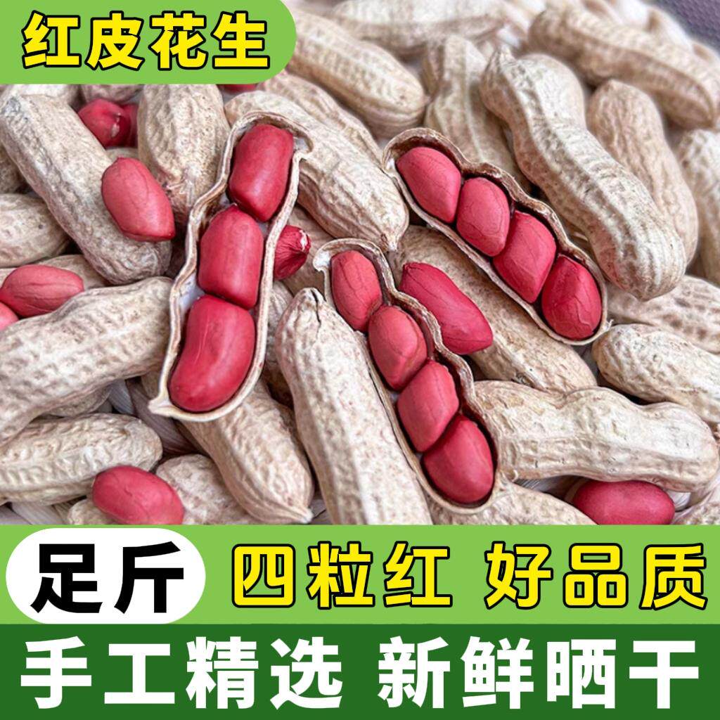 红皮花生2025年新货农家生花生带壳晒干四粒红花生米5斤装净含量
