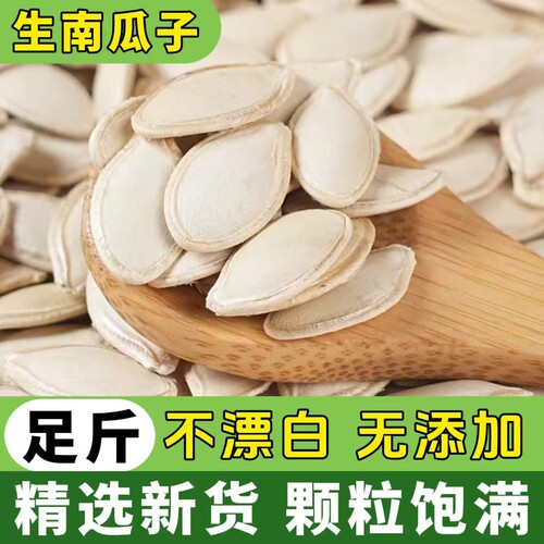 生南瓜子2025年新货中大片1-5斤内蒙古精选带壳纸皮原味生南瓜籽