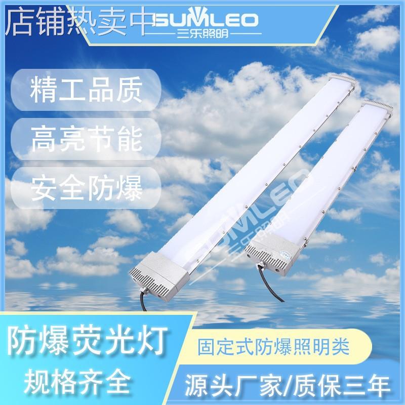 LED防爆荧光灯SLD8412 20/30/40/50/60W应急灯吸顶式条形三防灯