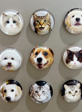玻璃冰箱贴来图定制照片宠物可爱猫咪狗狗创意周边磁力贴装饰纪念