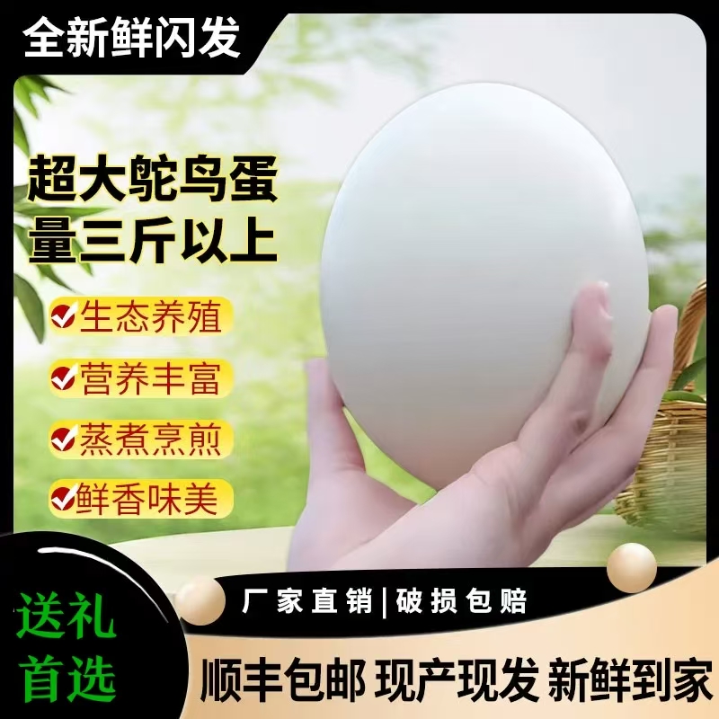 极速发顺丰包邮鸵鸟蛋新鲜超大号鸵鸟蛋可食用鸵鸟蛋熟食鸸鹋蛋
