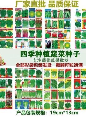 Tomato Seed garden plants Bonsai organic fruit and vegetabl