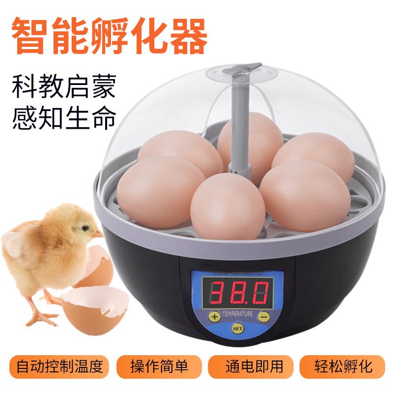 孵蛋器芦丁鸡小鸡孵化器小型家用智能孵化机水床鹦鹉全自动孵化箱