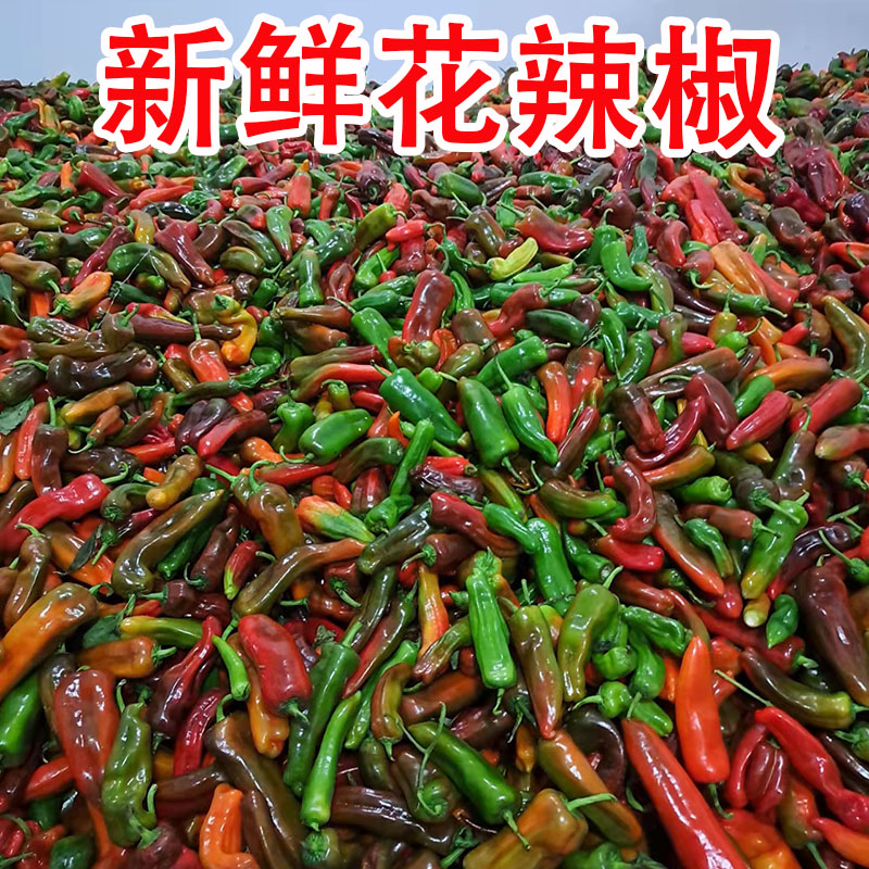 安徽农家自种新鲜花辣椒乌红紫大泡椒虎皮椒菜椒5斤肉厚青红辣椒