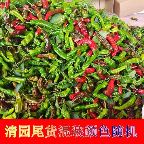 清园辣椒鲜代旺小皱皮