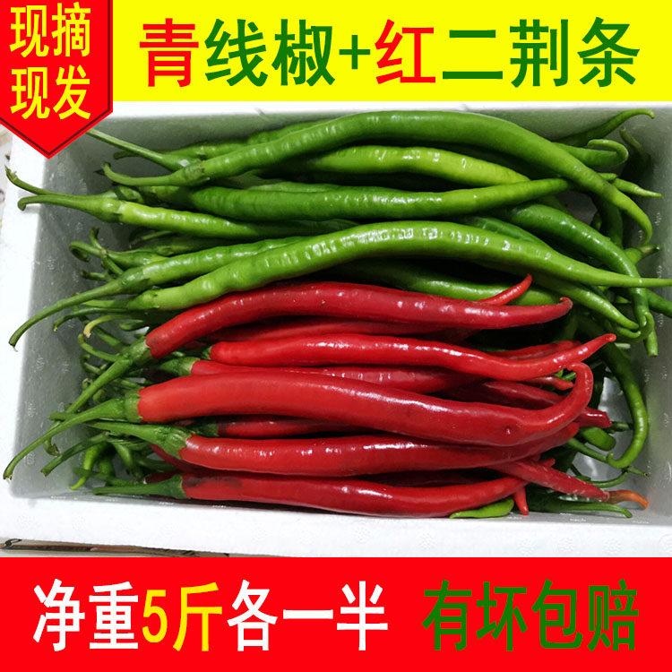 农家自种新鲜蔬菜青二荆条红线椒长辣椒尖椒薄皮混装青红椒泡椒