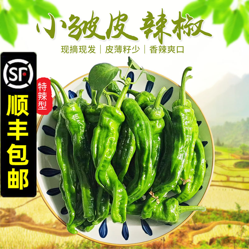 鲜代旺小皱皮薄皮特辣螺丝椒超辣
