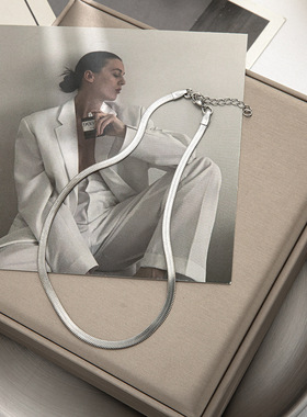 欧美简约个性钛钢项链女 ins蛇骨链素链钢色宽扁短款锁骨链潮项饰