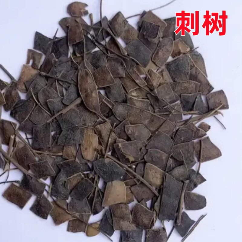 勒子刺树种子围园簕簕籽四季树种子围园刺篱笆荆棘种子有刺银合欢
