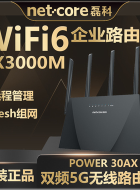 磊科路由器WiFi6全千兆AX3000M高速无线wifi双频5G家用穿墙 全屋大户型宿舍mesh组网增强器大功率POWER 30AX