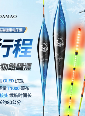李大毛OLED夜光漂大吃铅高灵敏