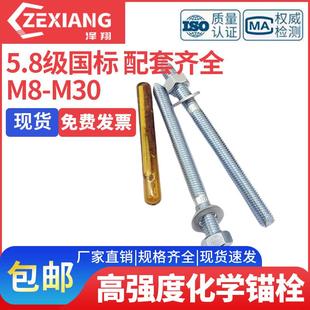 化学螺栓高强度倒锥化学锚栓膨胀螺丝8.8级M10M12M16M18M20M24M30