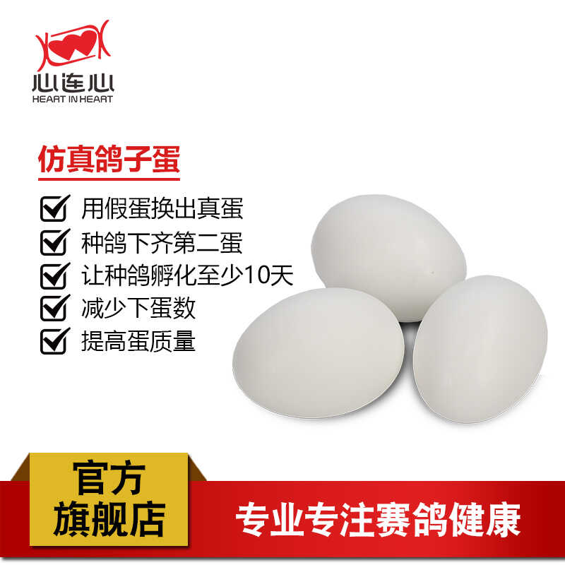 鸽子蛋仿真鸽蛋非注水塑料假蛋