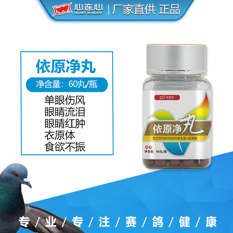 心连心鸽药信鸽子用药大全衣原体单眼伤风眼睛流泪红肿衣原净丸