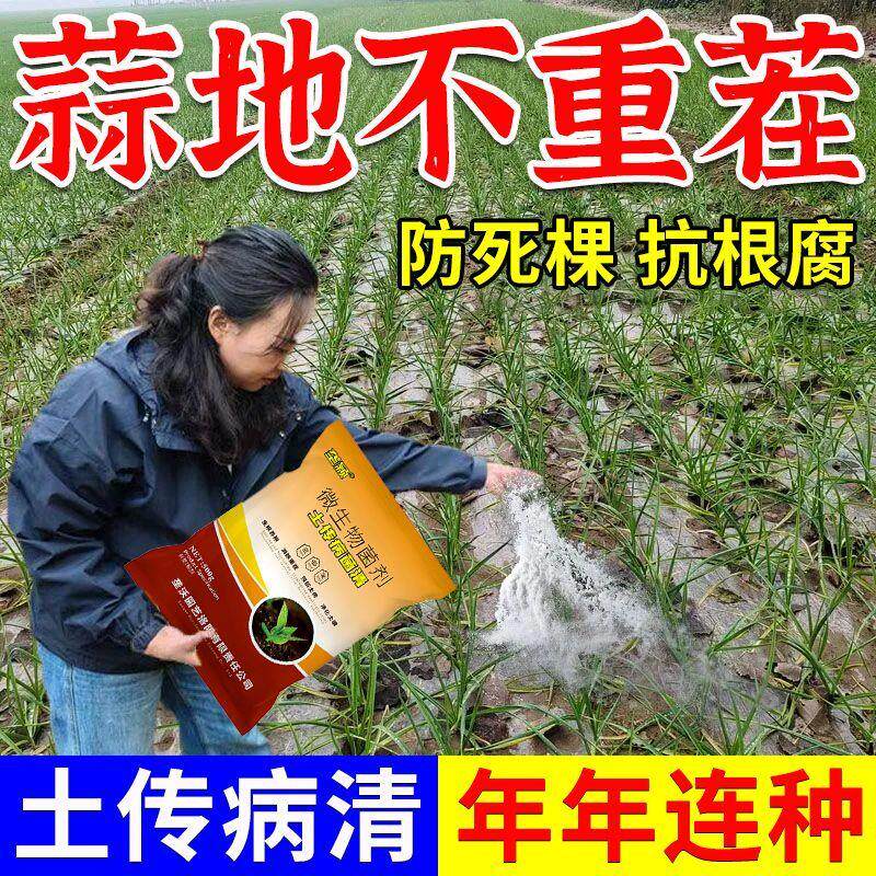 大蒜抗重茬剂蒜地土壤改良剂防死苗根腐枯萎土传病菌清微生物菌肥