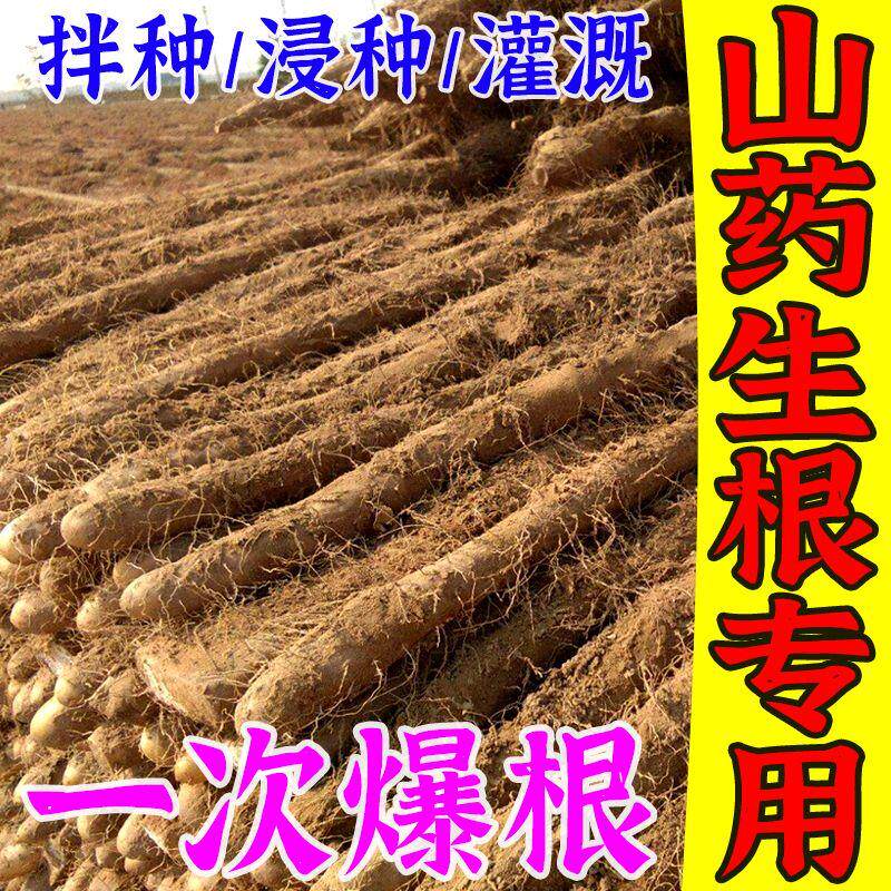 山药拌种包衣芽壮苗防病防虫