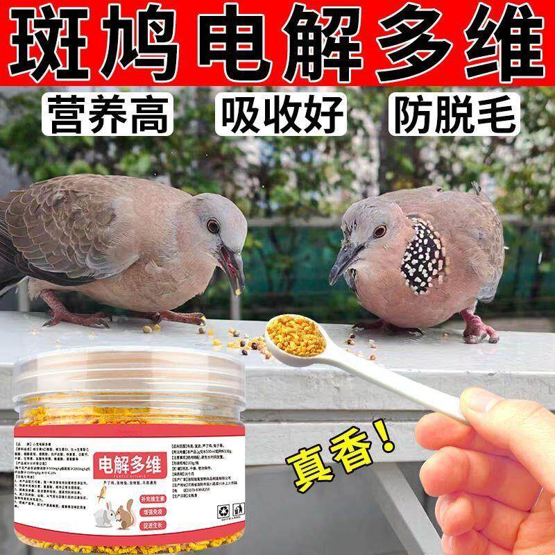 斑鸠不生病产蛋多电解多维鸠班苗防脱毛饲料抗应激不伤鸟类用品