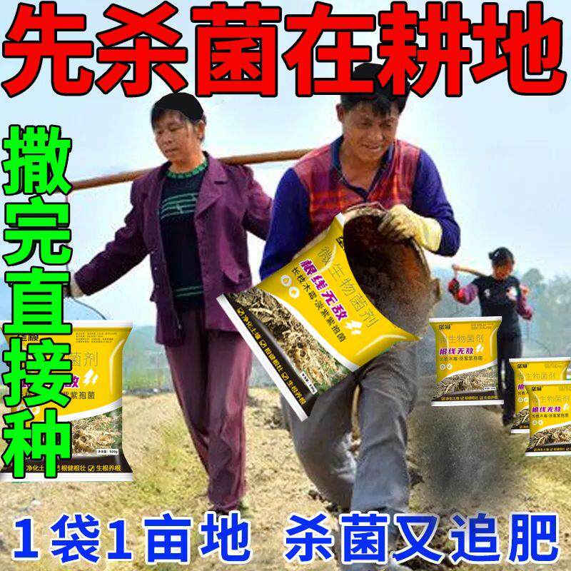 农用土壤杀菌消毒土传病强力调理土壤抗重茬根腐死棵病微生物菌剂