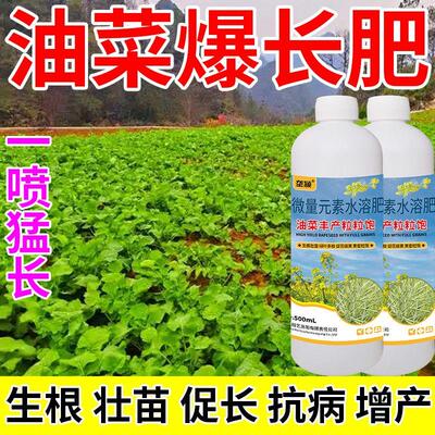 油菜专用叶面肥提苗壮苗抗倒伏