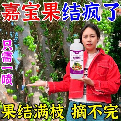 嘉宝果专用叶面肥促花芽保座果