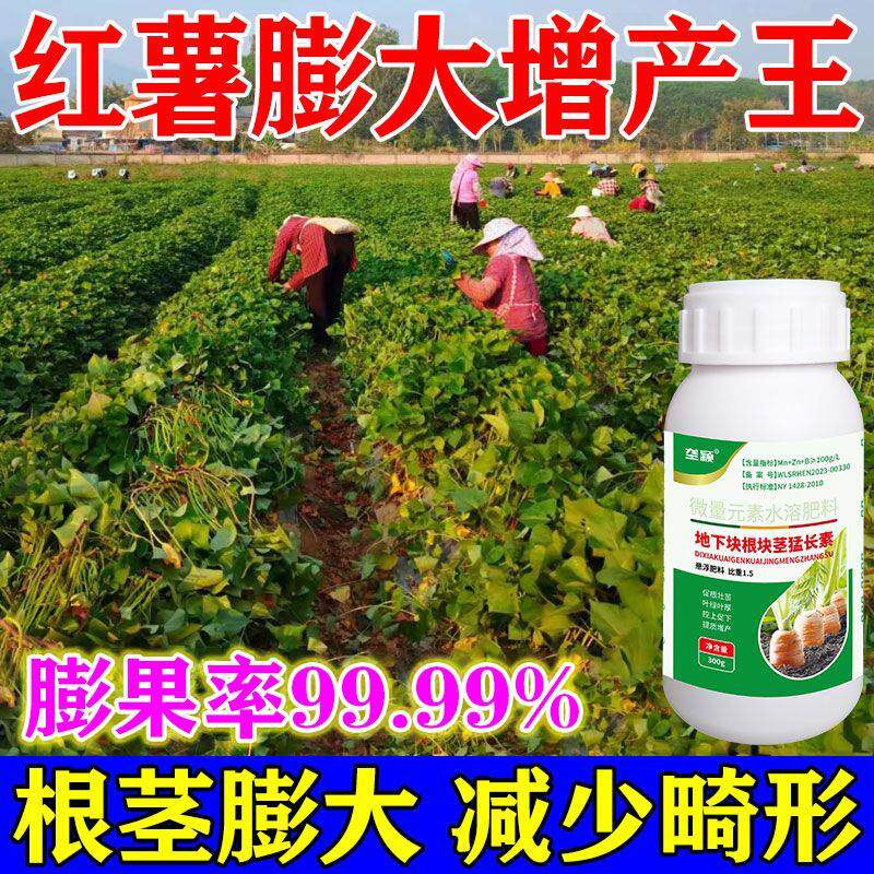 红薯地下根茎膨大增产控旺叶面肥